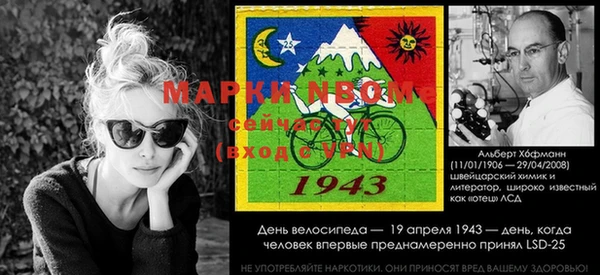 индика Володарск