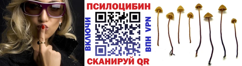 Псилоцибиновые грибы Magic Shrooms  Сретенск 